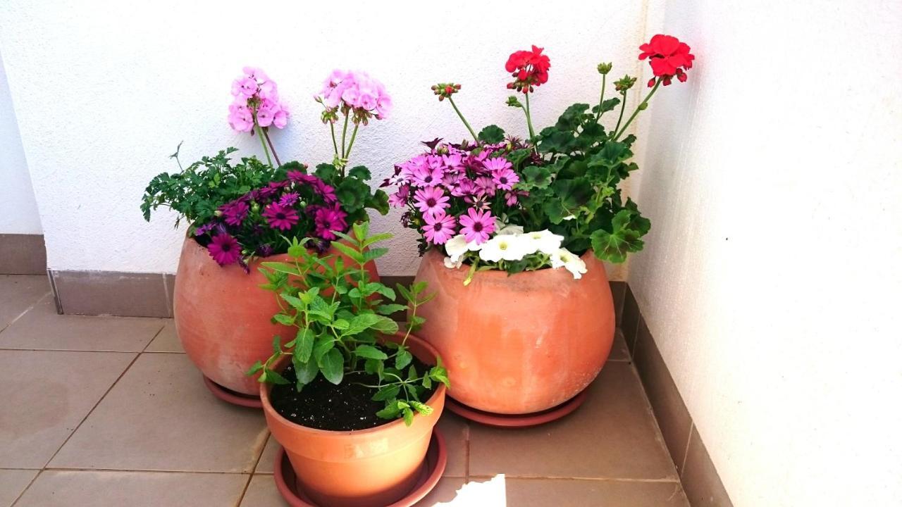 Apartamento De Dos Dormitorios Junto A Mojacar Playa ガルチャ エクステリア 写真